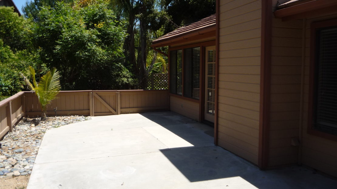 video image