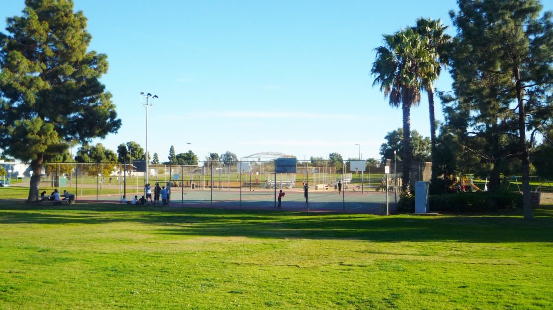 video image