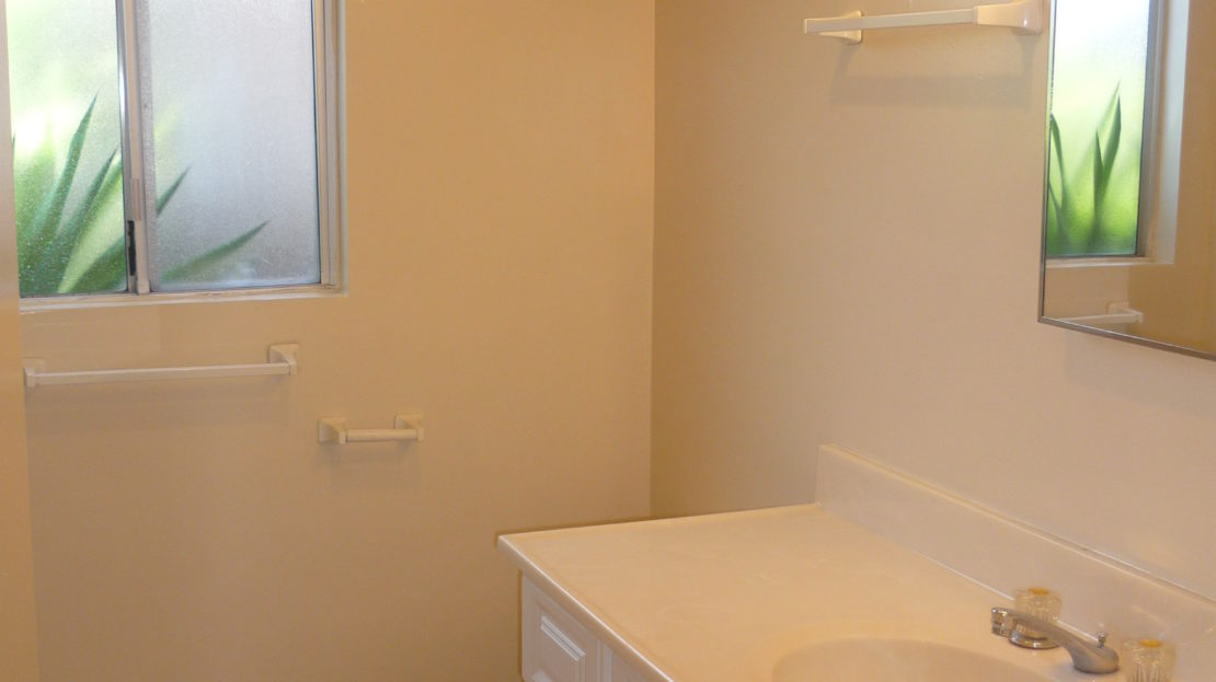 video image