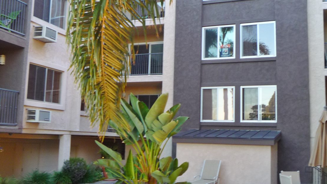 video image