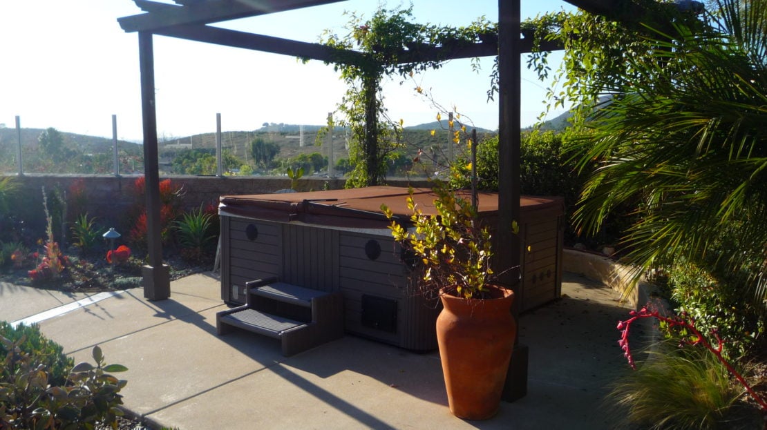 video image