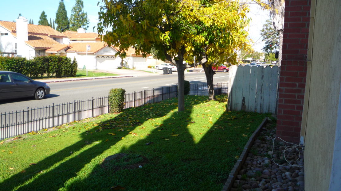 video image