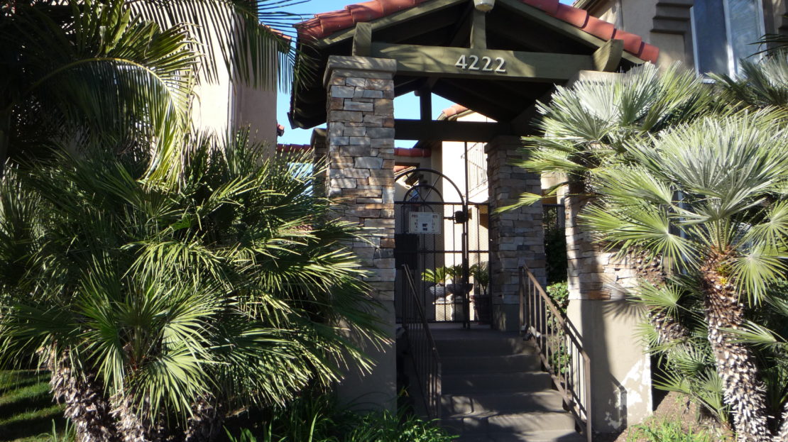 video image