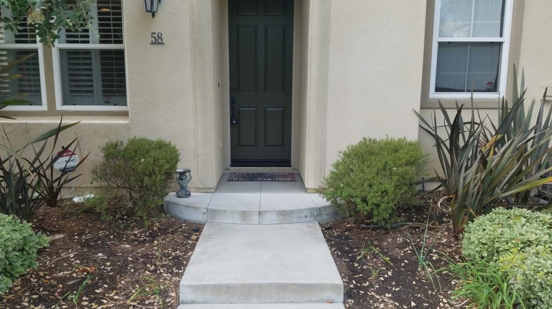 video image