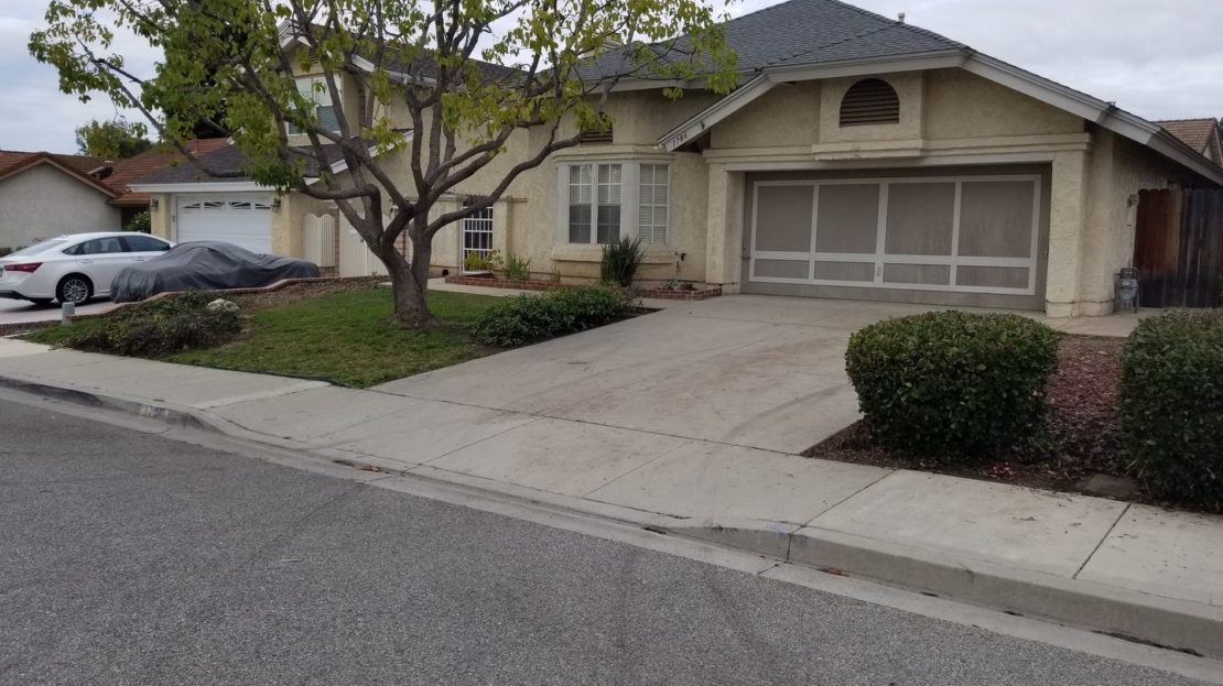 video image