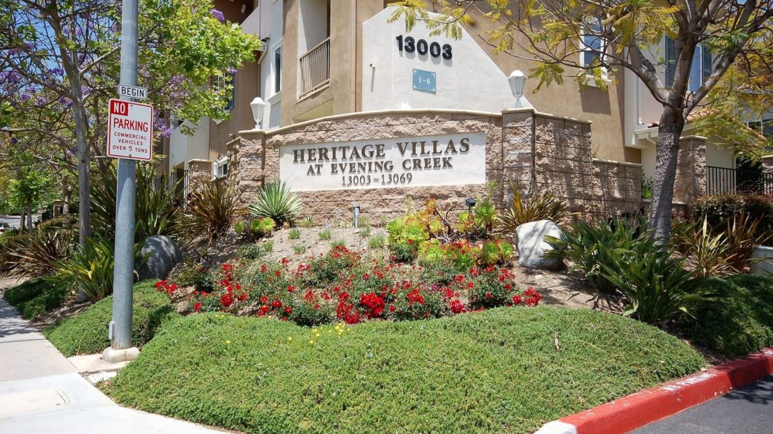 video image