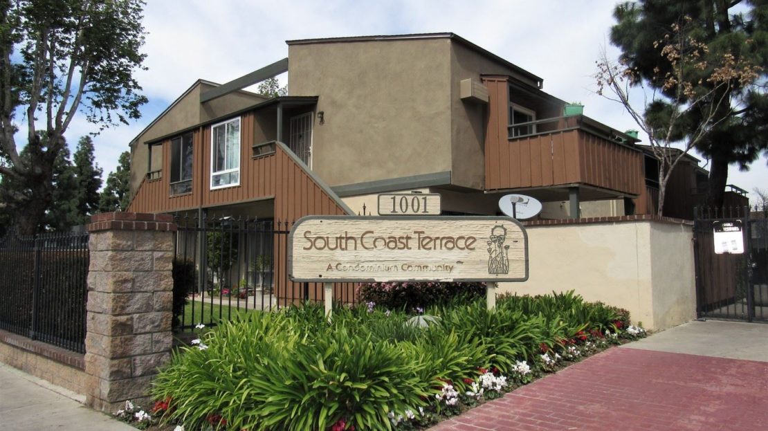 video image