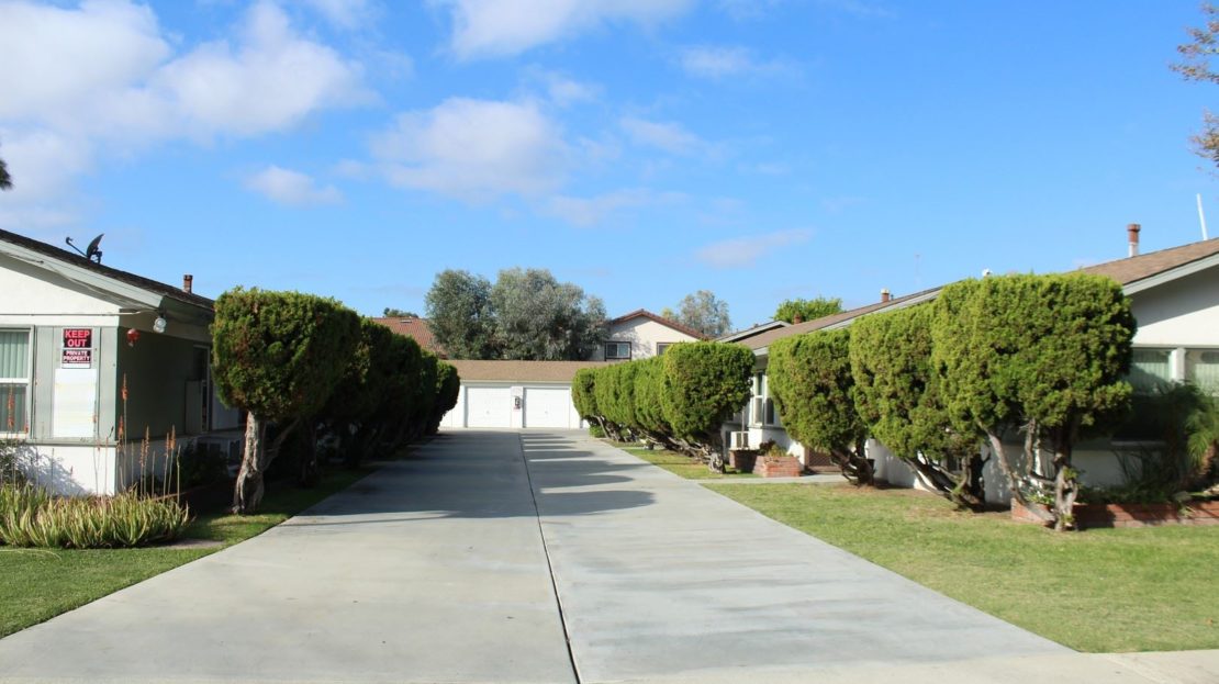 video image