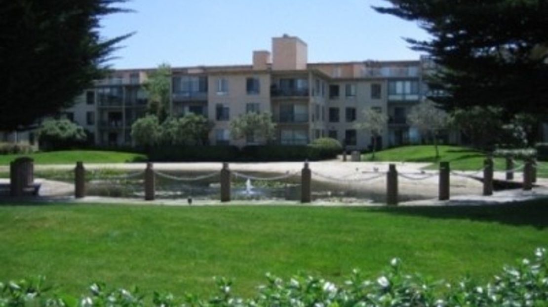video image