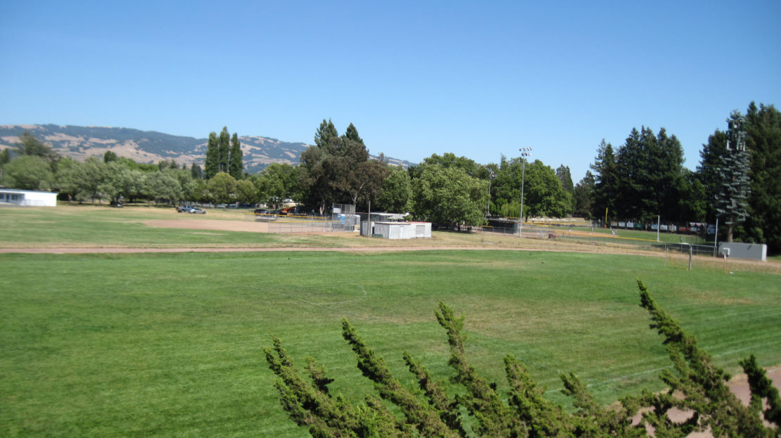 video image