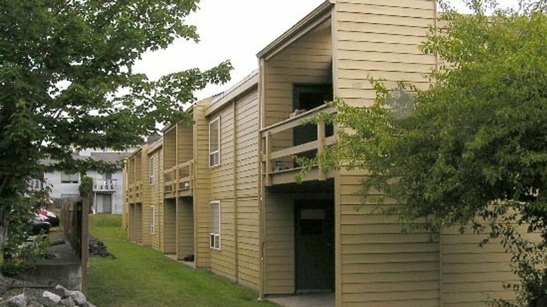 video image