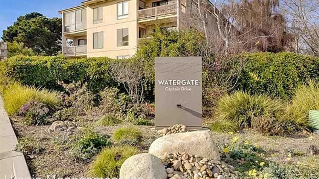 video image