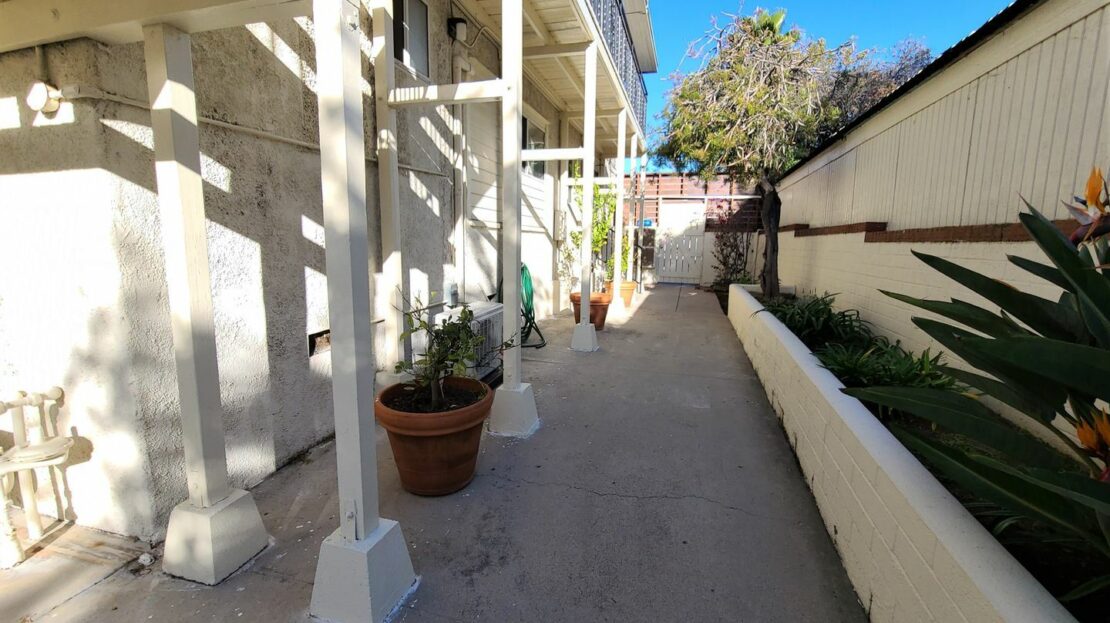 video image