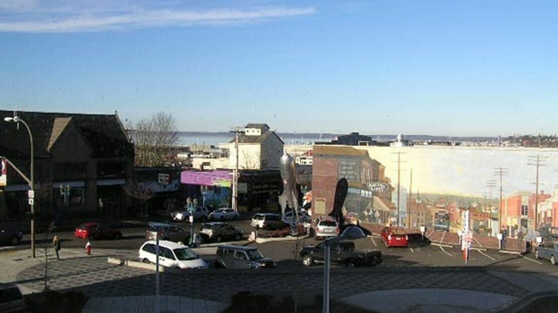 video image