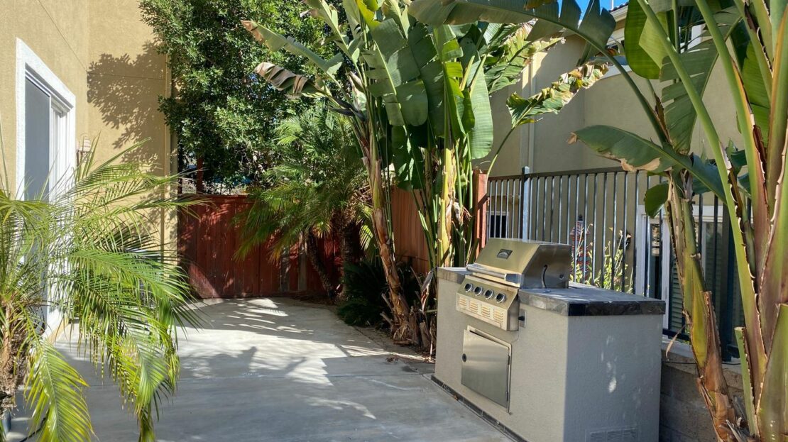 video image