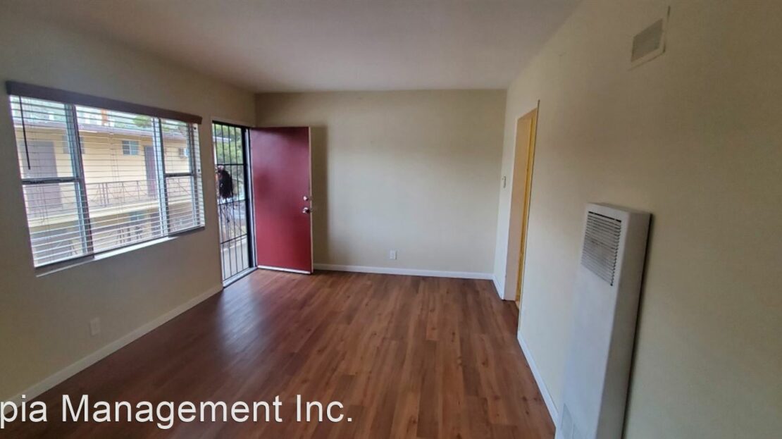 video image