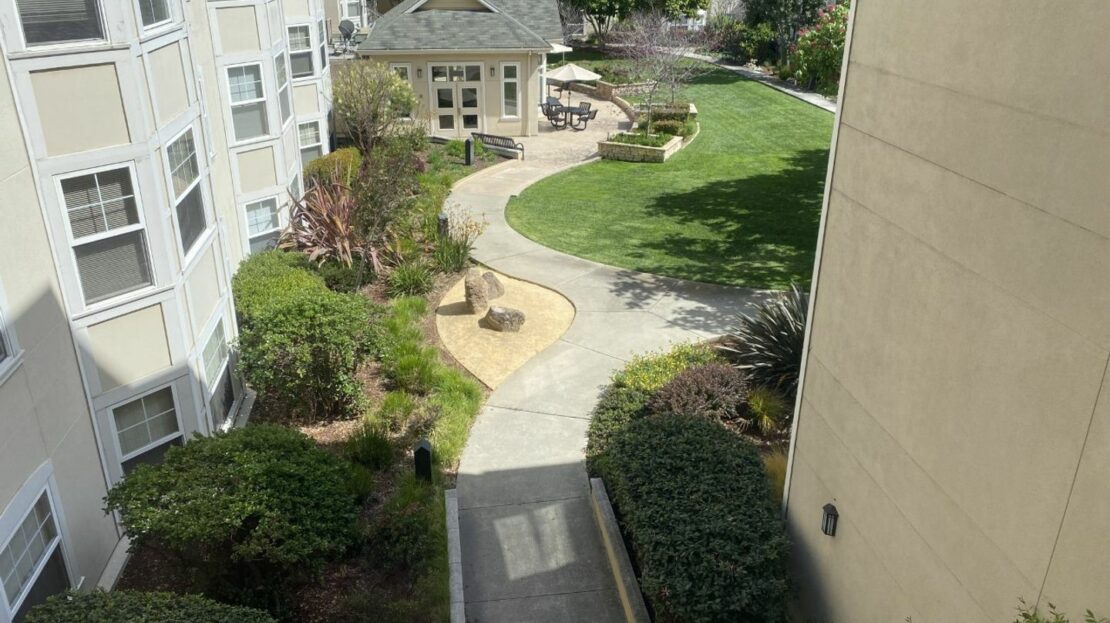 video image