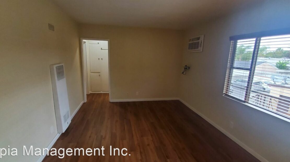 video image