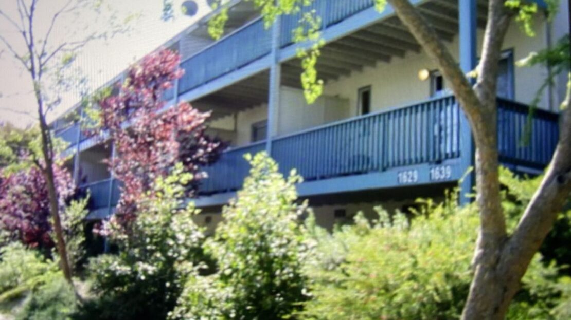 video image