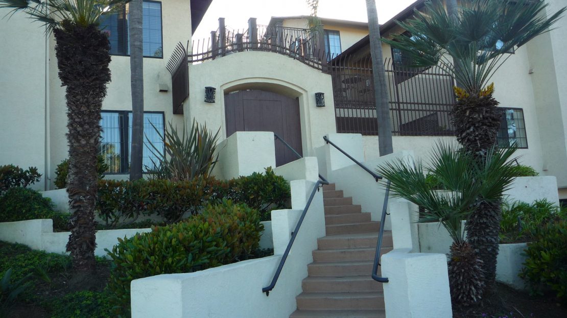 video image