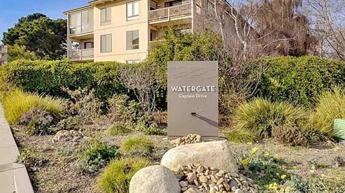 video image
