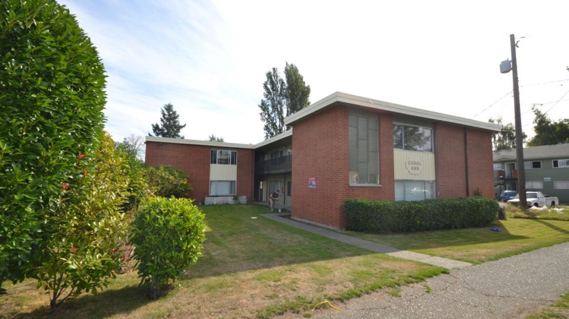 video image