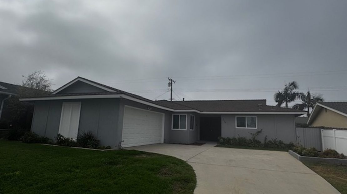 video image