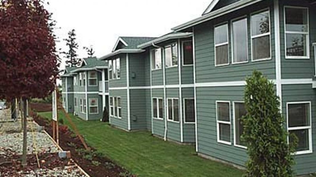 video image