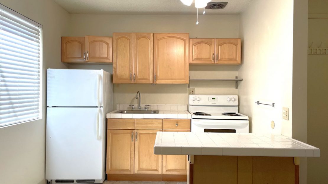 video image