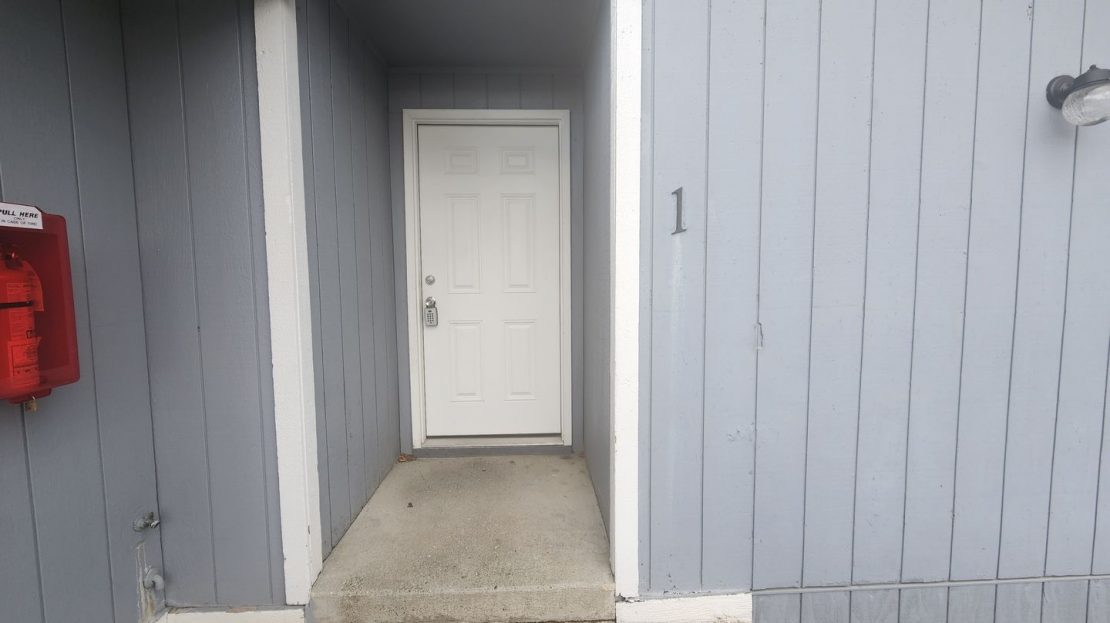 video image