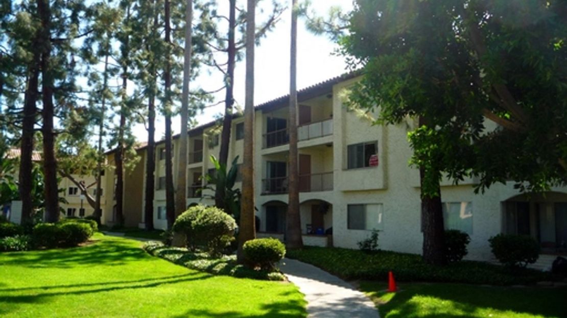 video image