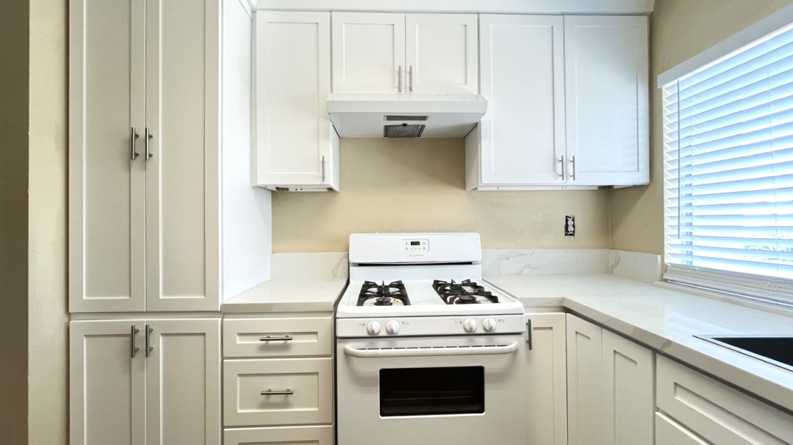 video image